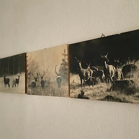 Zuhause Am Bach